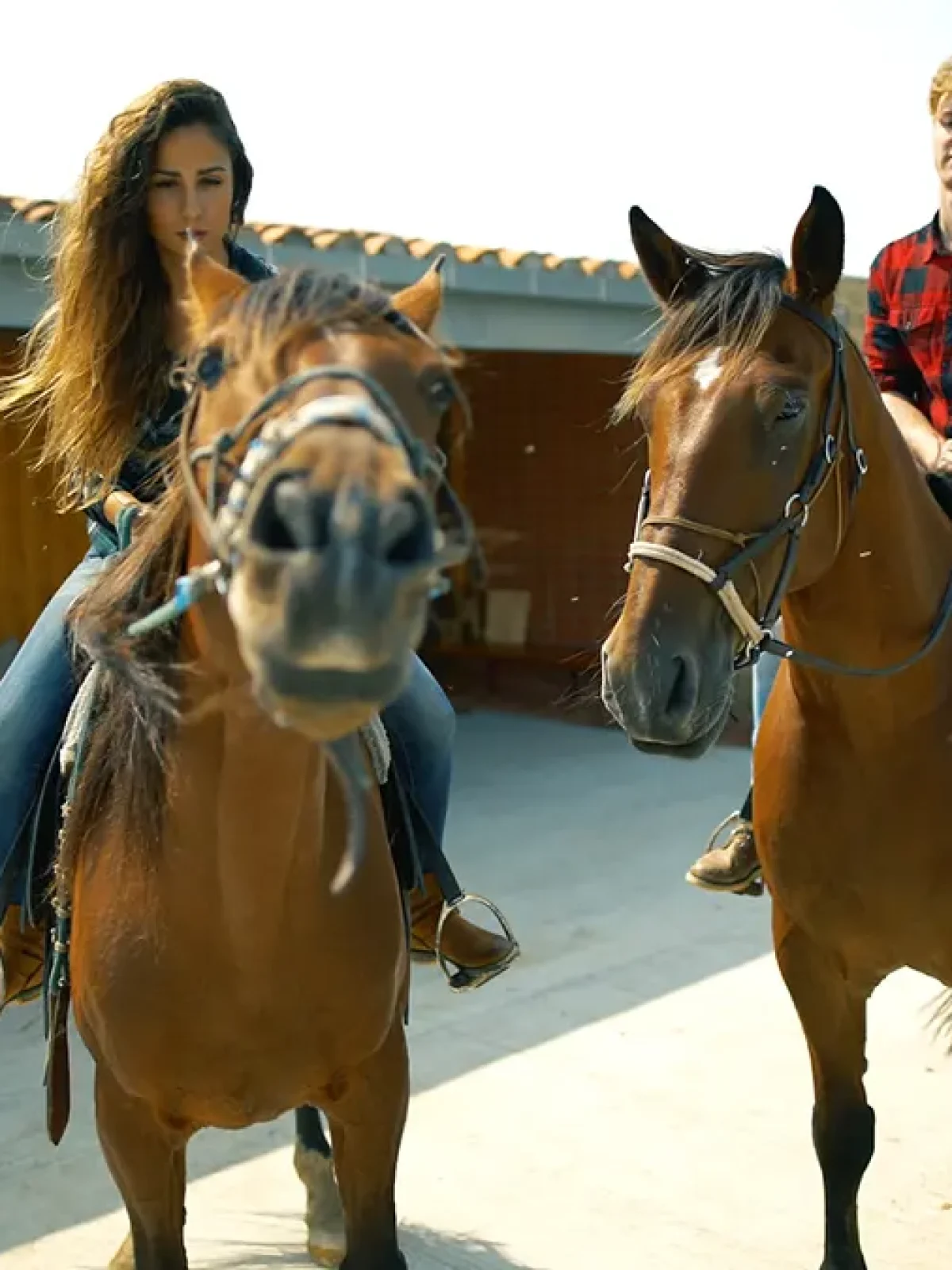 CABALLOS Imagen fija