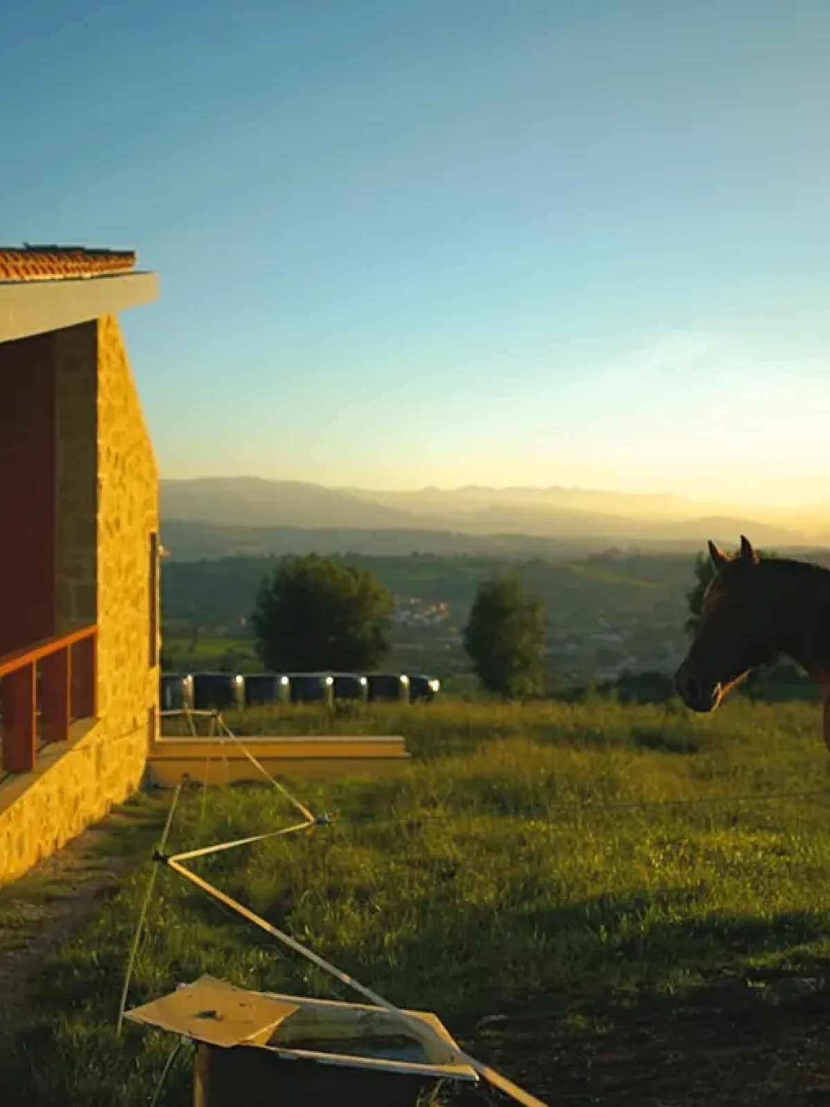 CABALLOS Imagen fija