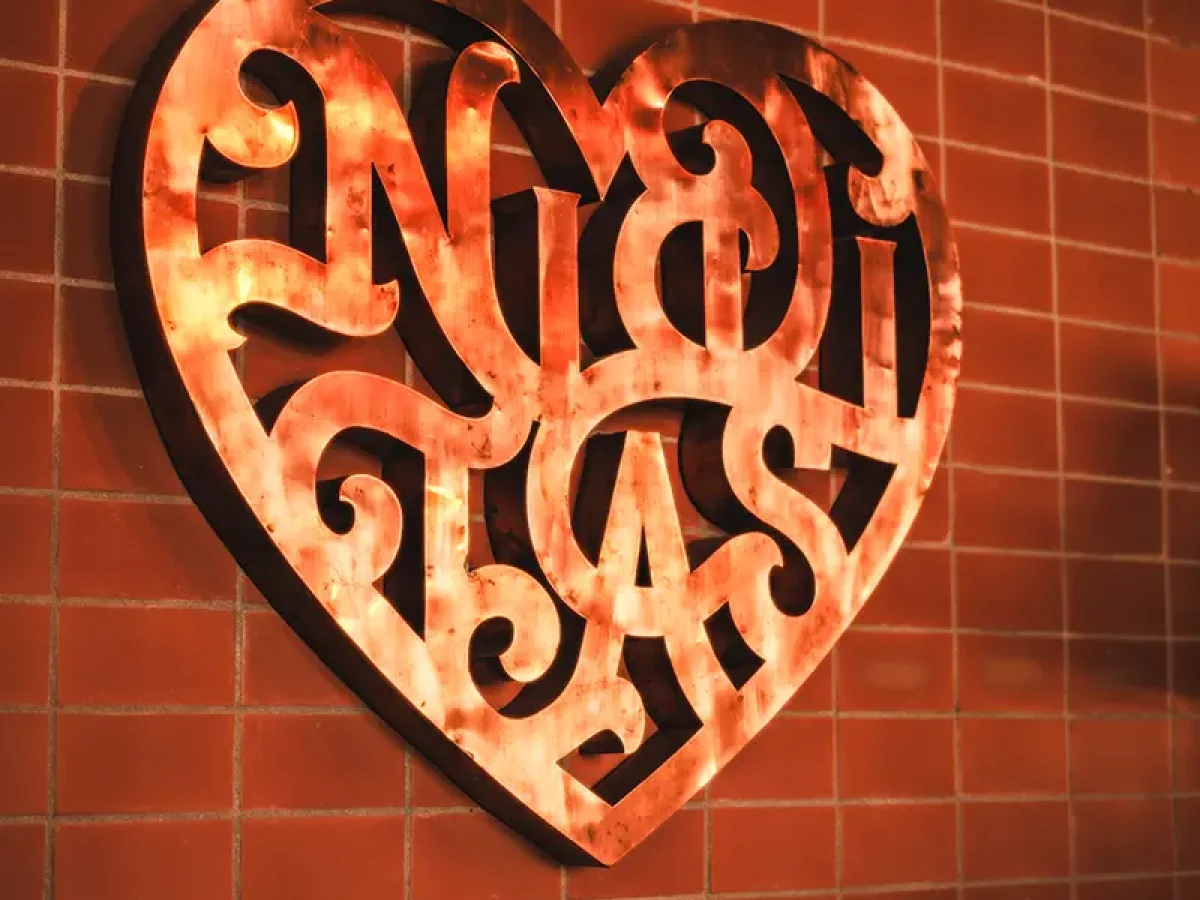 Logo Niditas en pared