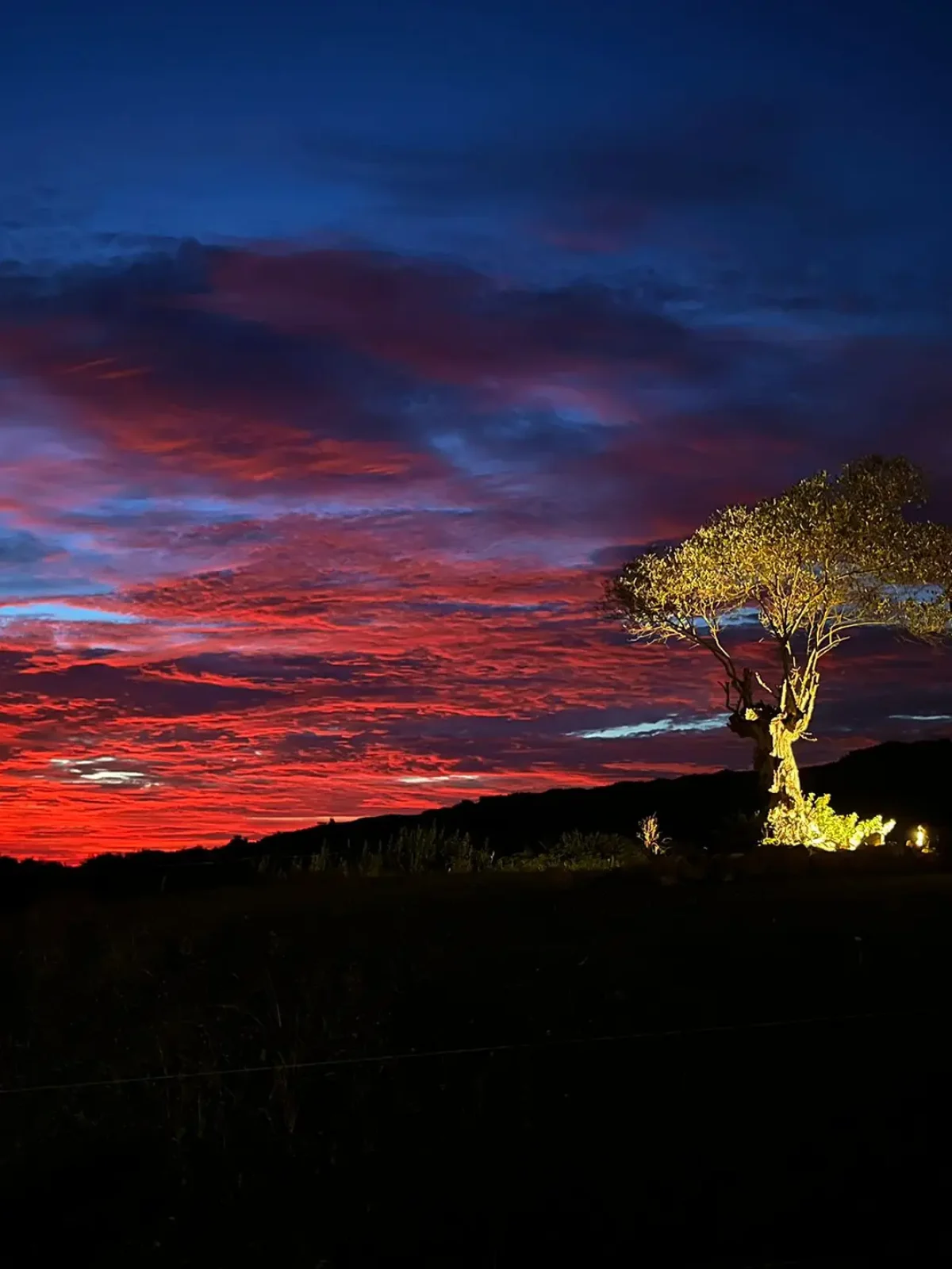espectacular atardecer en niditas cantabria