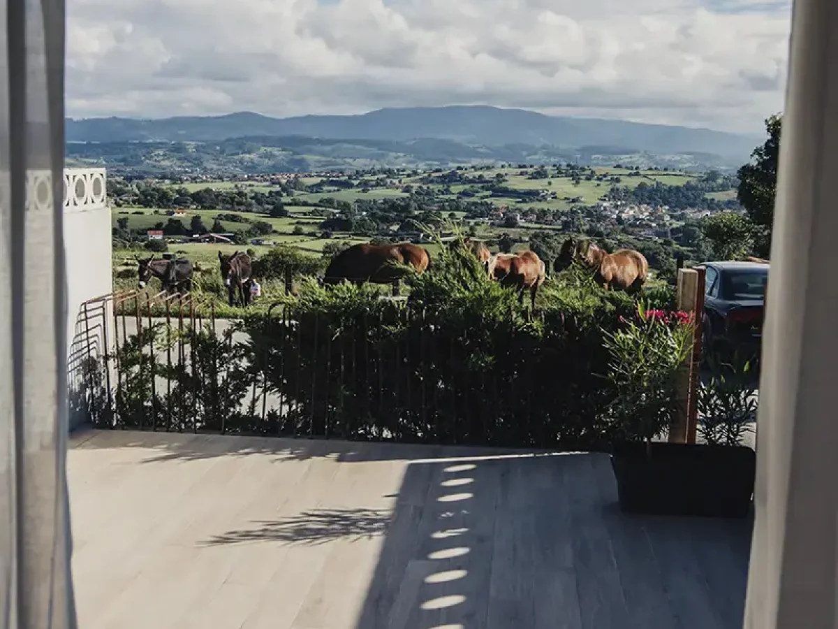 vista desde suite