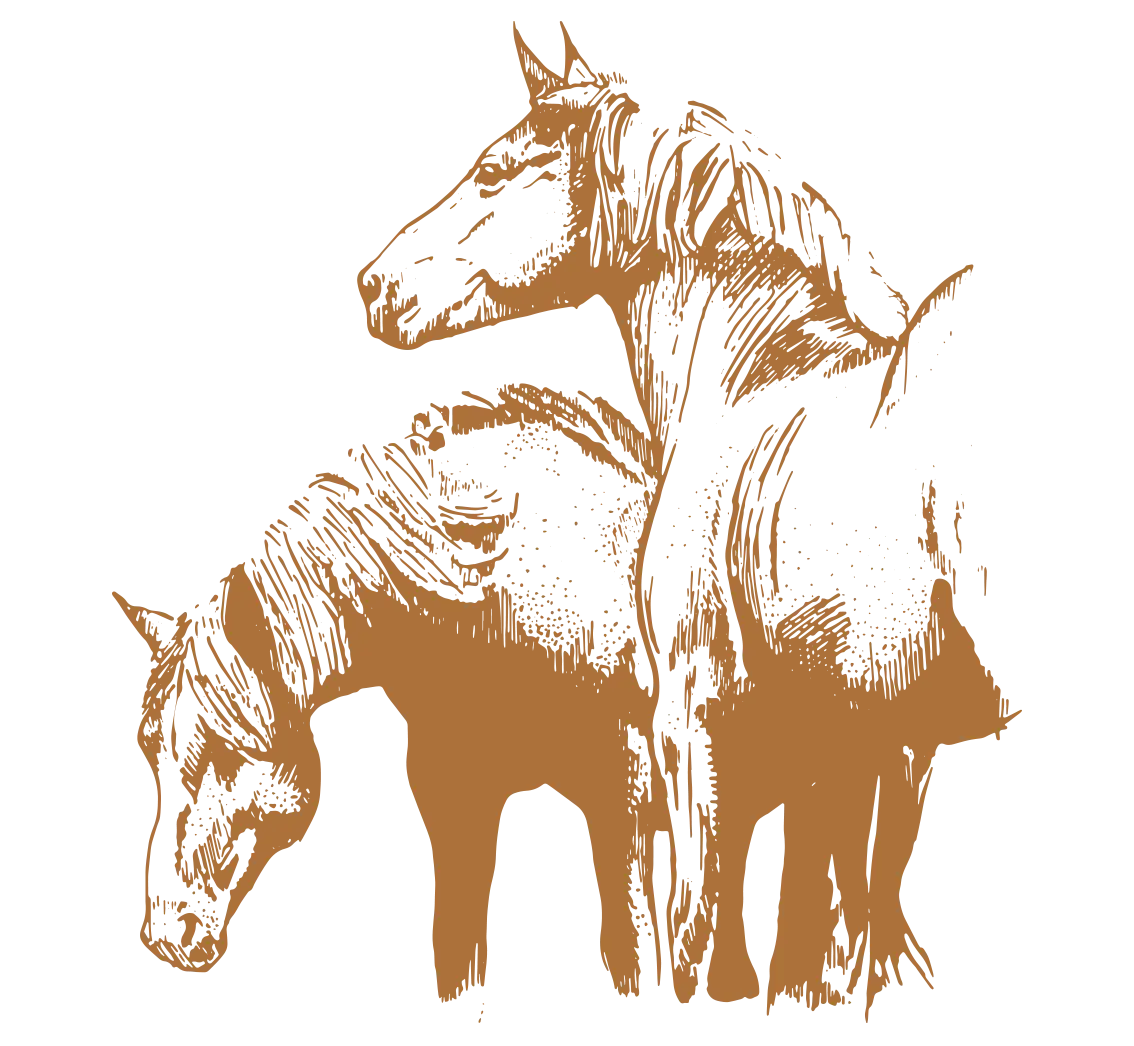 niditas caballos