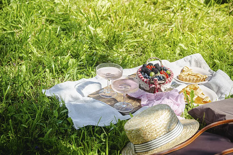 picnic niditas